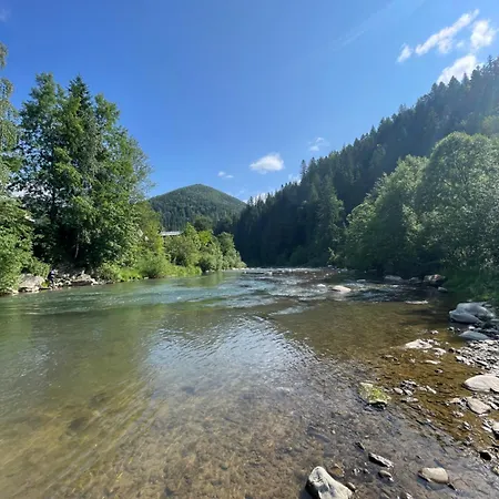 Tatariv-hills Holiday home *